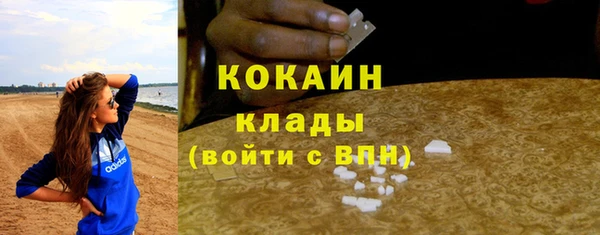 крисы Бородино