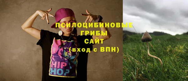 крисы Бородино