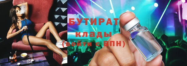 крисы Бородино