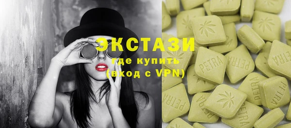 крисы Бородино