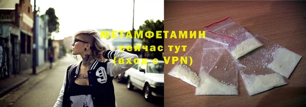крисы Бородино