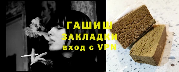 крисы Бородино