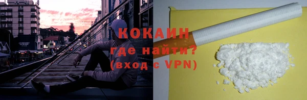 крисы Бородино