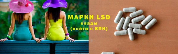 крисы Бородино