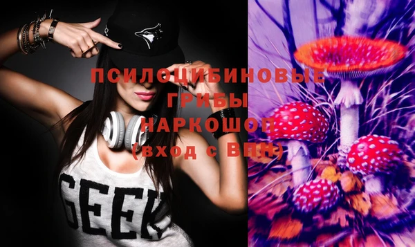 ECSTASY Бронницы
