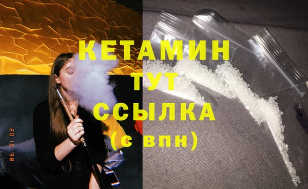крисы Бородино