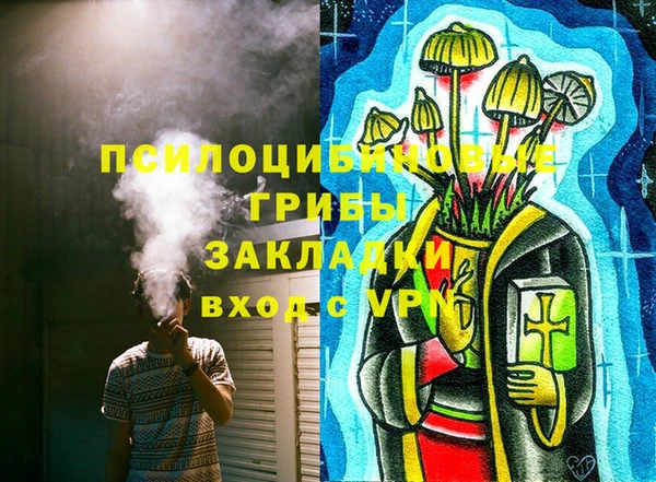 ECSTASY Бронницы